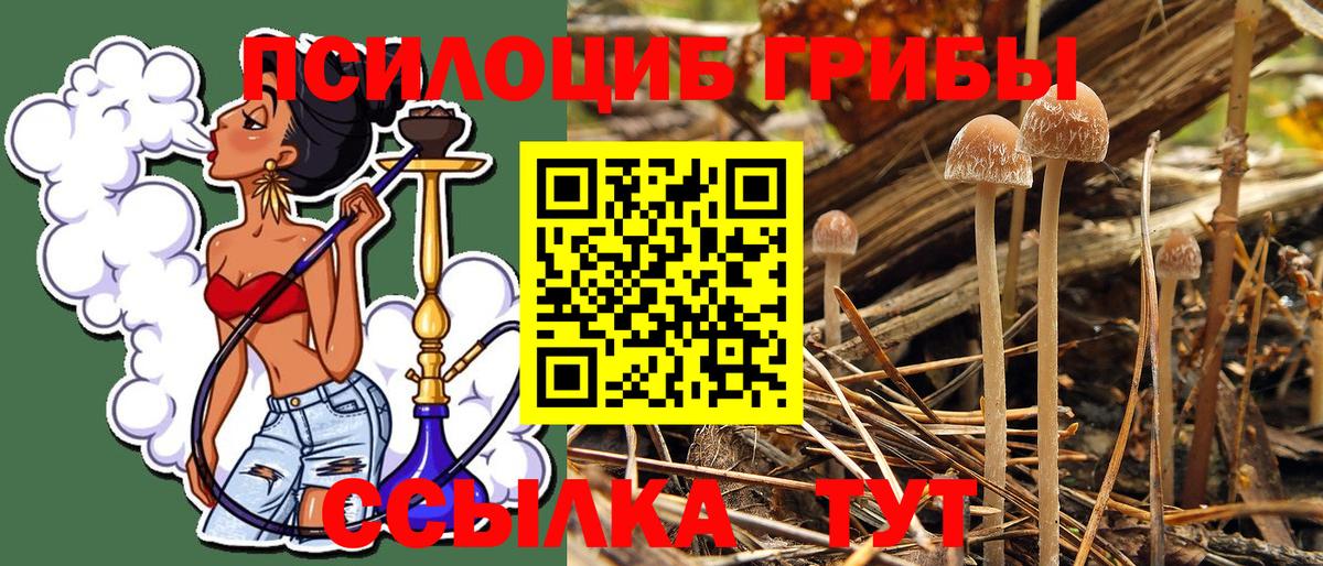 Псилоцибиновые грибы Cubensis  Вход с VPN  Каспийск 