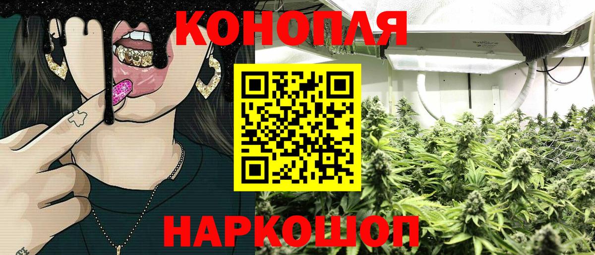 Шишки марихуана Amnesia  МАРИХУАНА конопля  Шишки марихуана тримм  Каспийск  Вход с VPN 